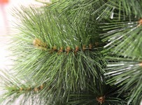 Иголки искусственной елки из Лески
