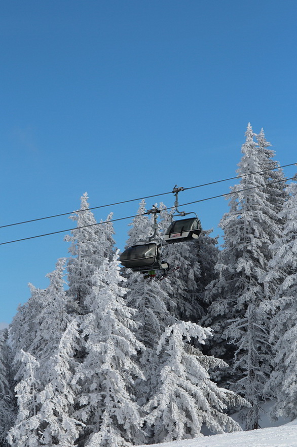 new-year-ski